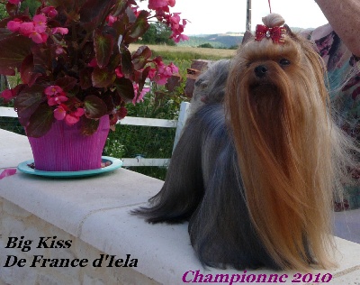 de France D'Iela - 2 NOUVEAUX CHAMPIONS DE FRANCE D'IELA