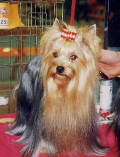 Nana de France D'Iela