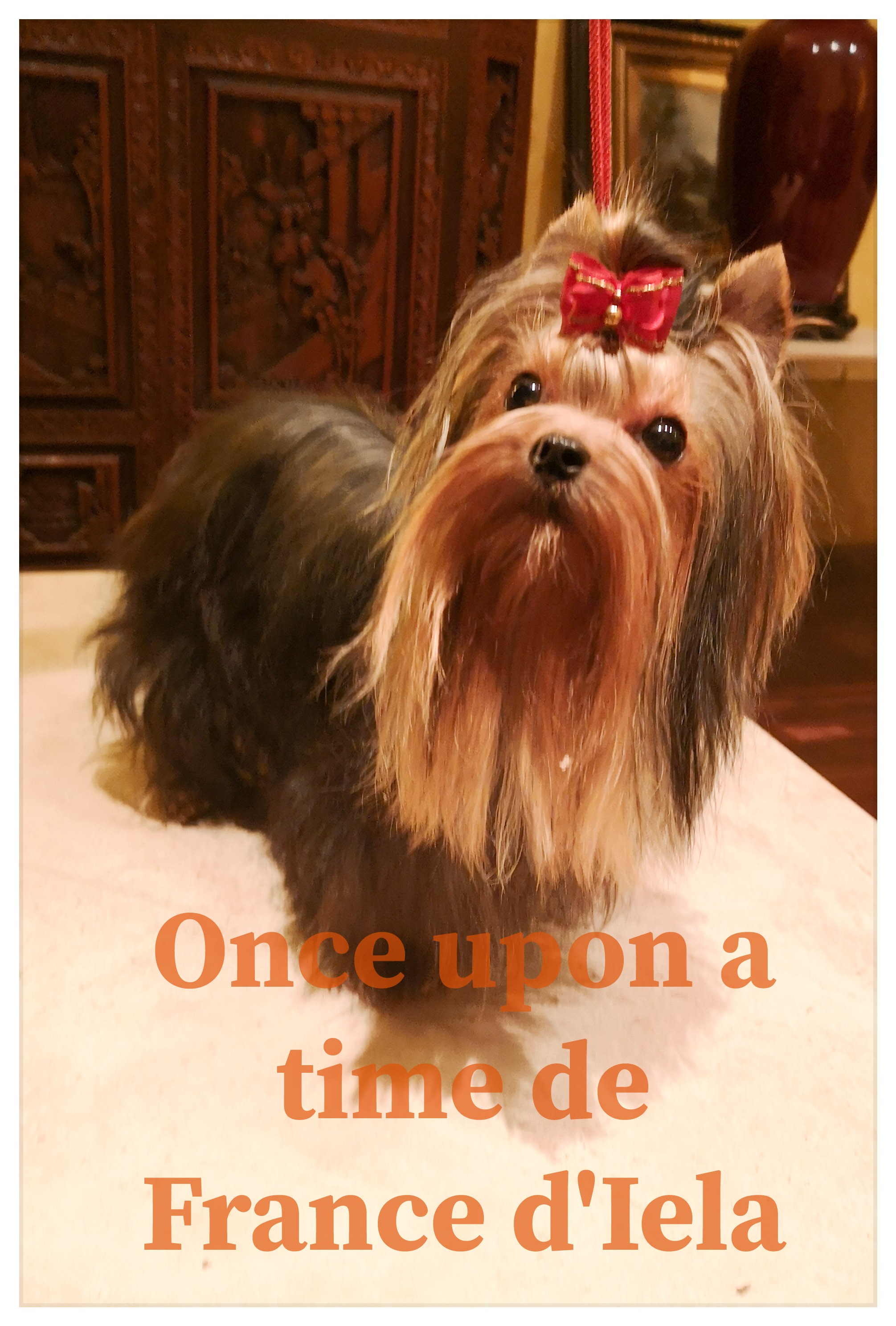 Once upon a time de France D'Iela