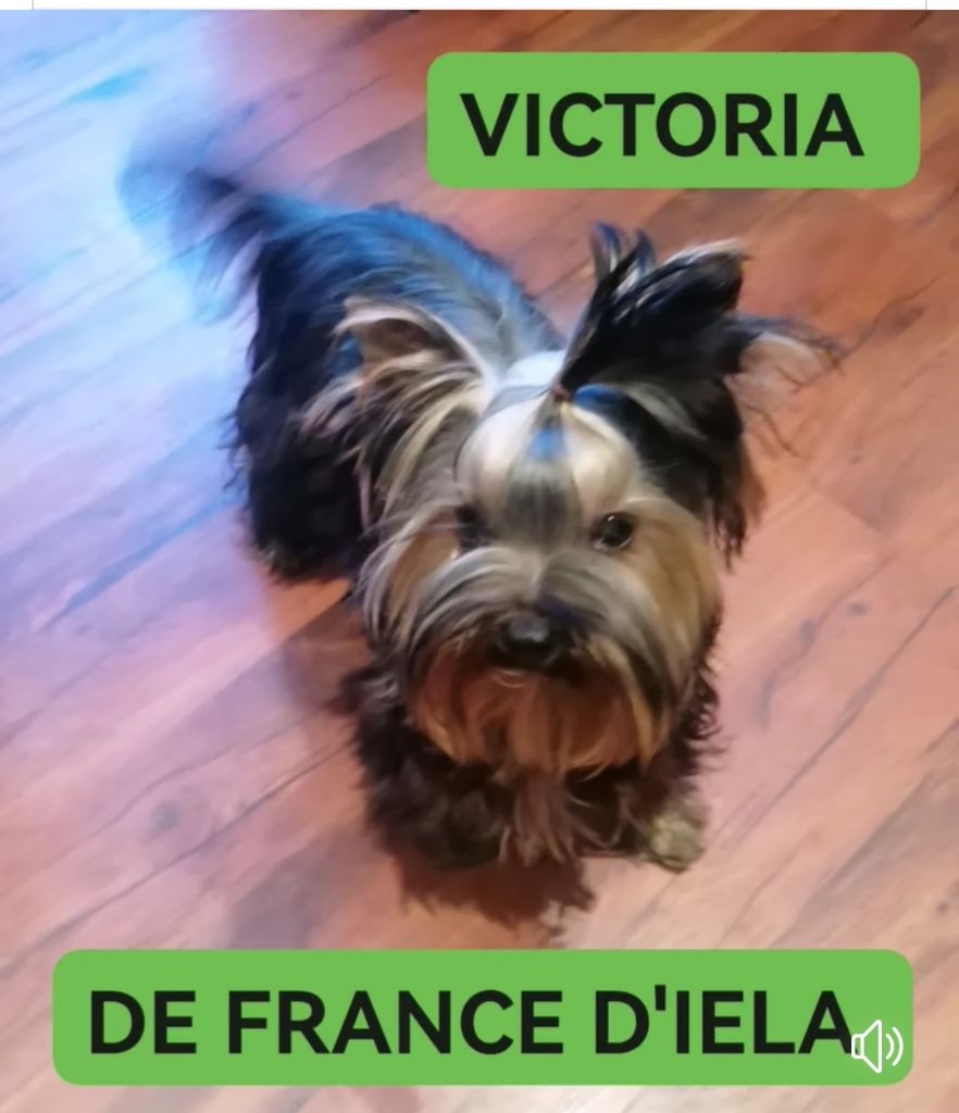 VICTORIA DE FRANCE D'IELA 